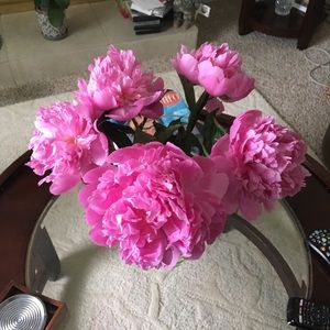 Meet your Posher, Socorro